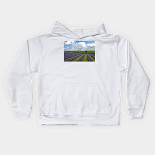 Lavender Field Purple Flowers Cotswolds England Kids Hoodie